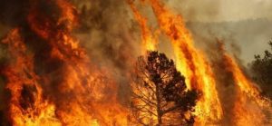 Risultati immagini per vittime incendi