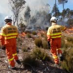 Risultati immagini per toscana incendi